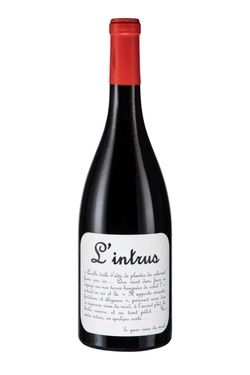 Vin De France L'intrus Cabernet Franc Maison Ventenac 2022 Bio